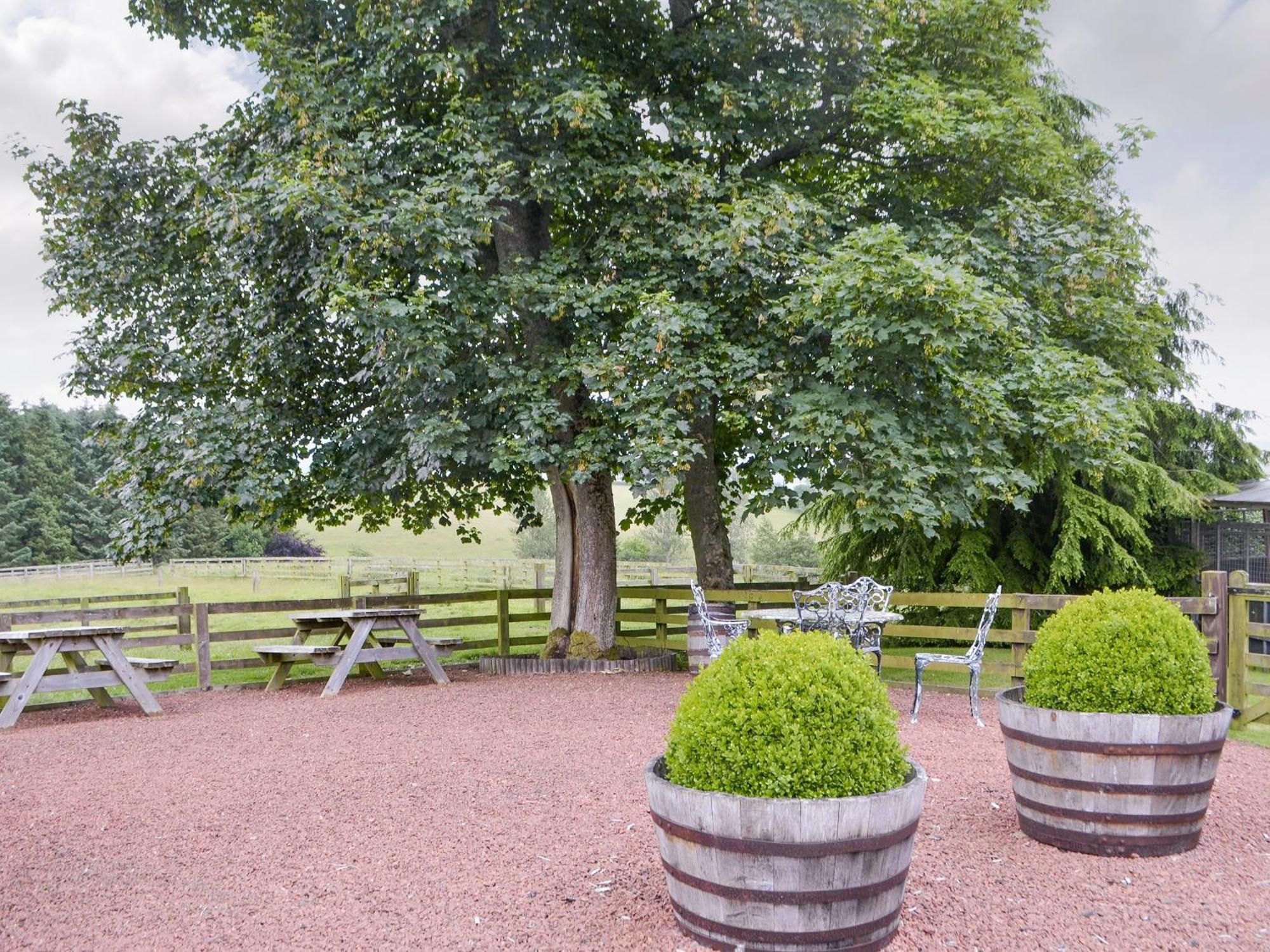 Broomstick Cottage Elsdon 외부 사진